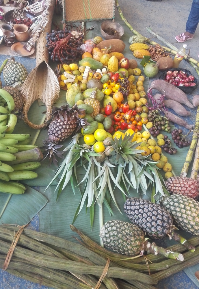 Co-crear en la selva del Amazonas Colombiano.