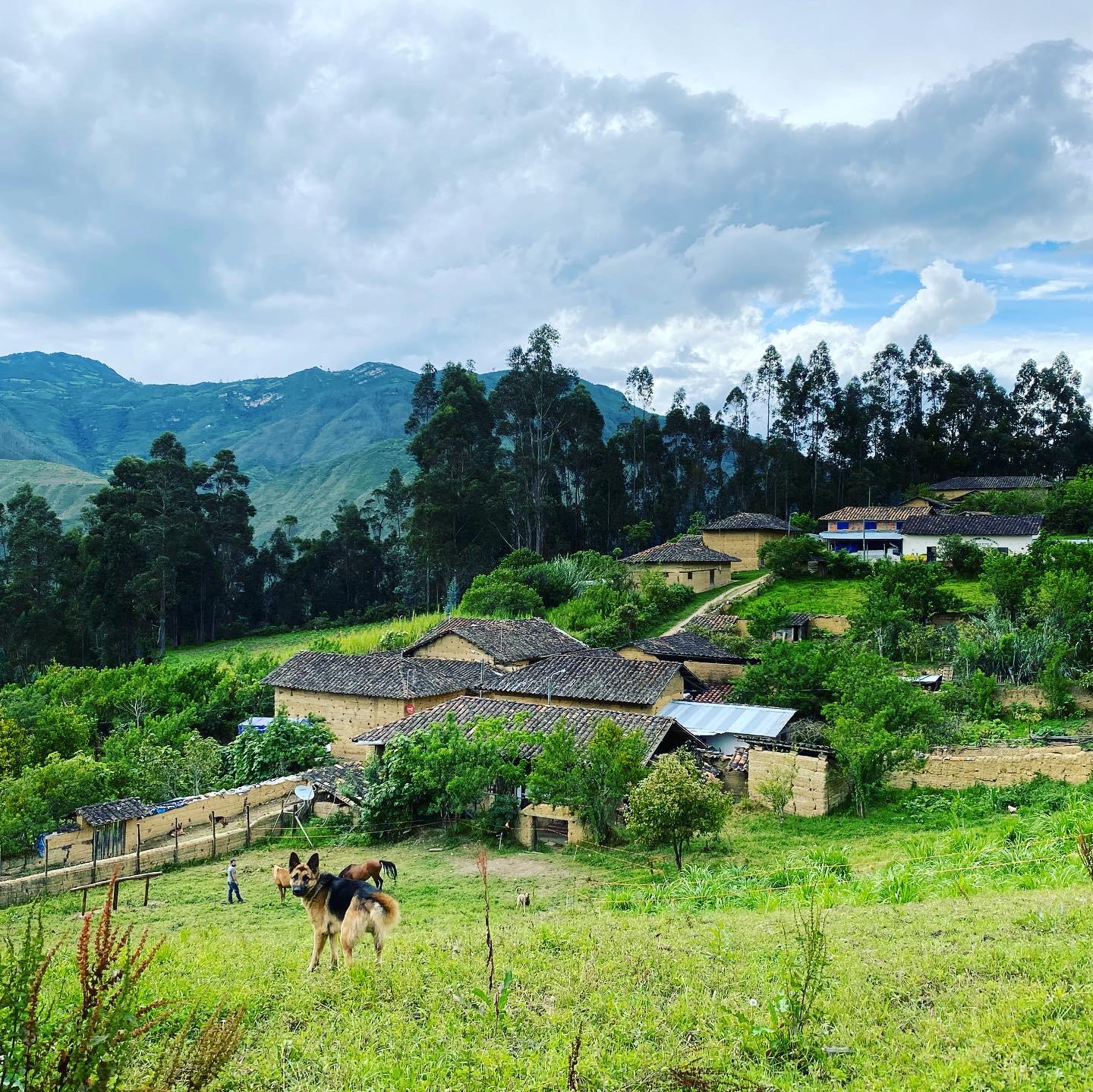Macondo