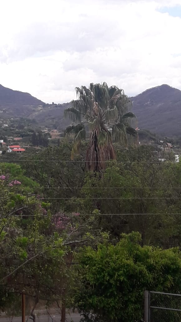 Territorio