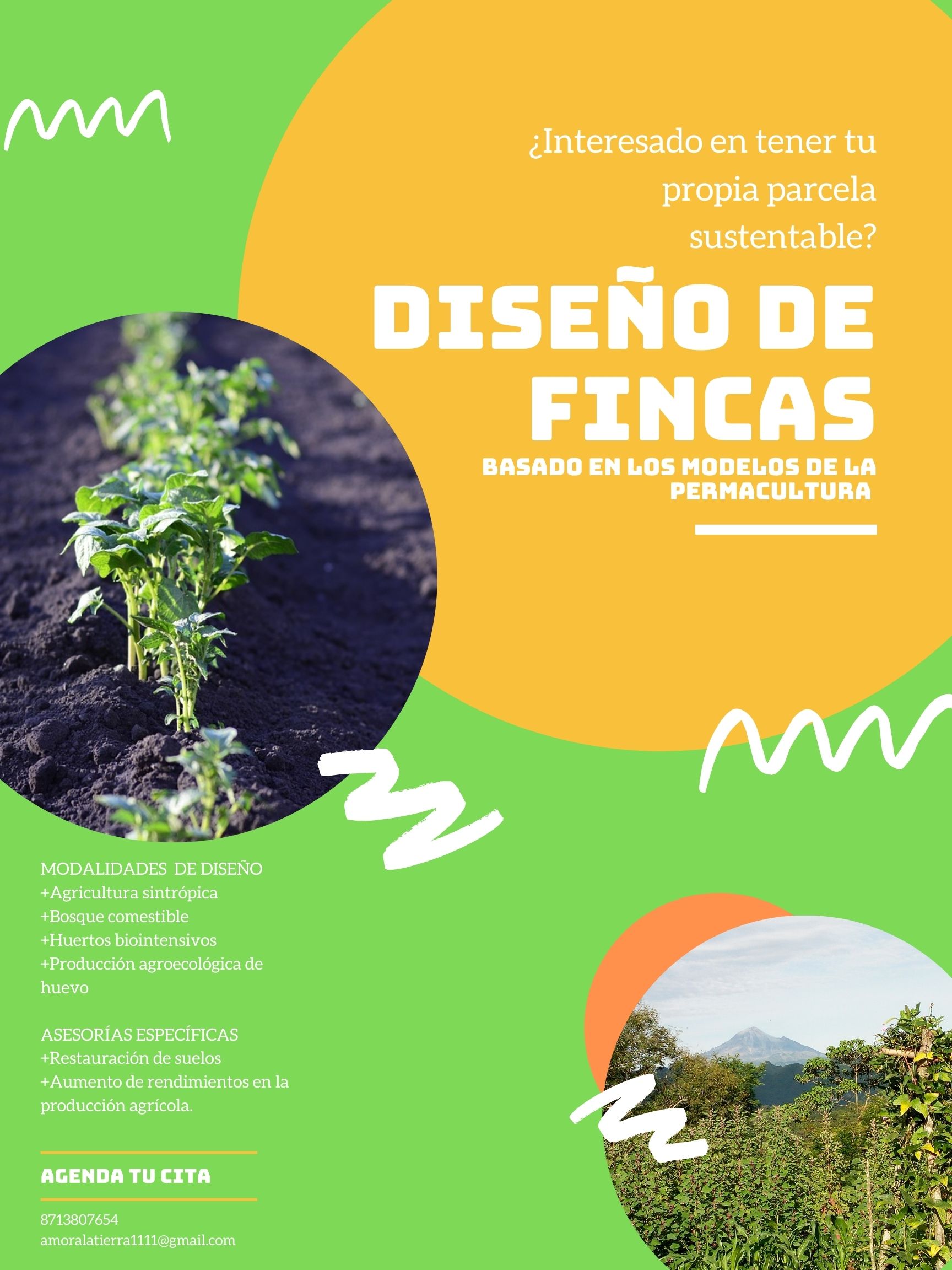 Diseño de fincas