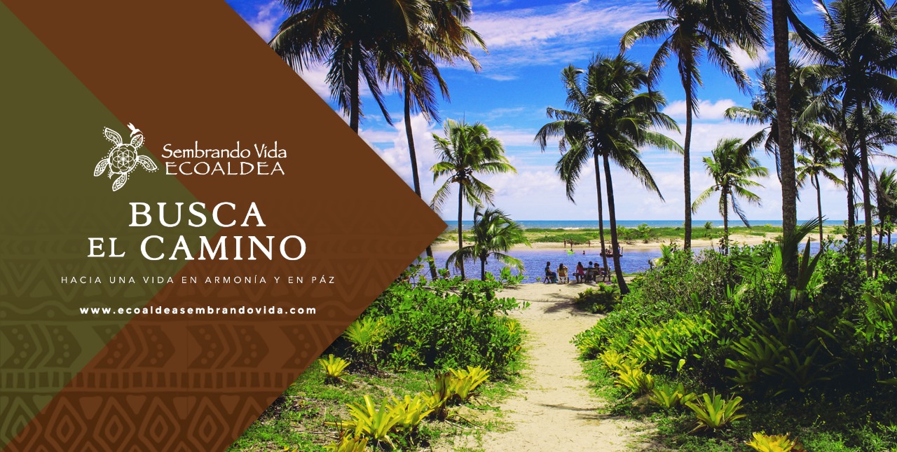 Ecoaldea Sembrando Vida en el pacifico Mexicano