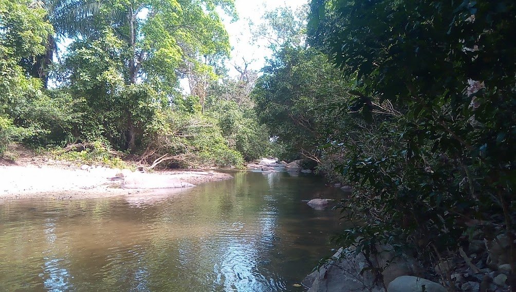 Ecovilla Permacultural Tierra Amor