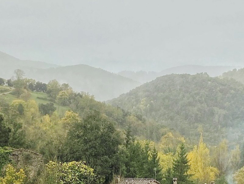 Cohabitatge a muntanya, Catalunya