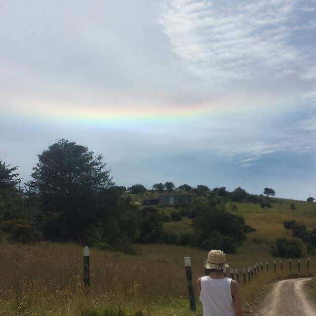 Busco un territorio en el cual enraizar