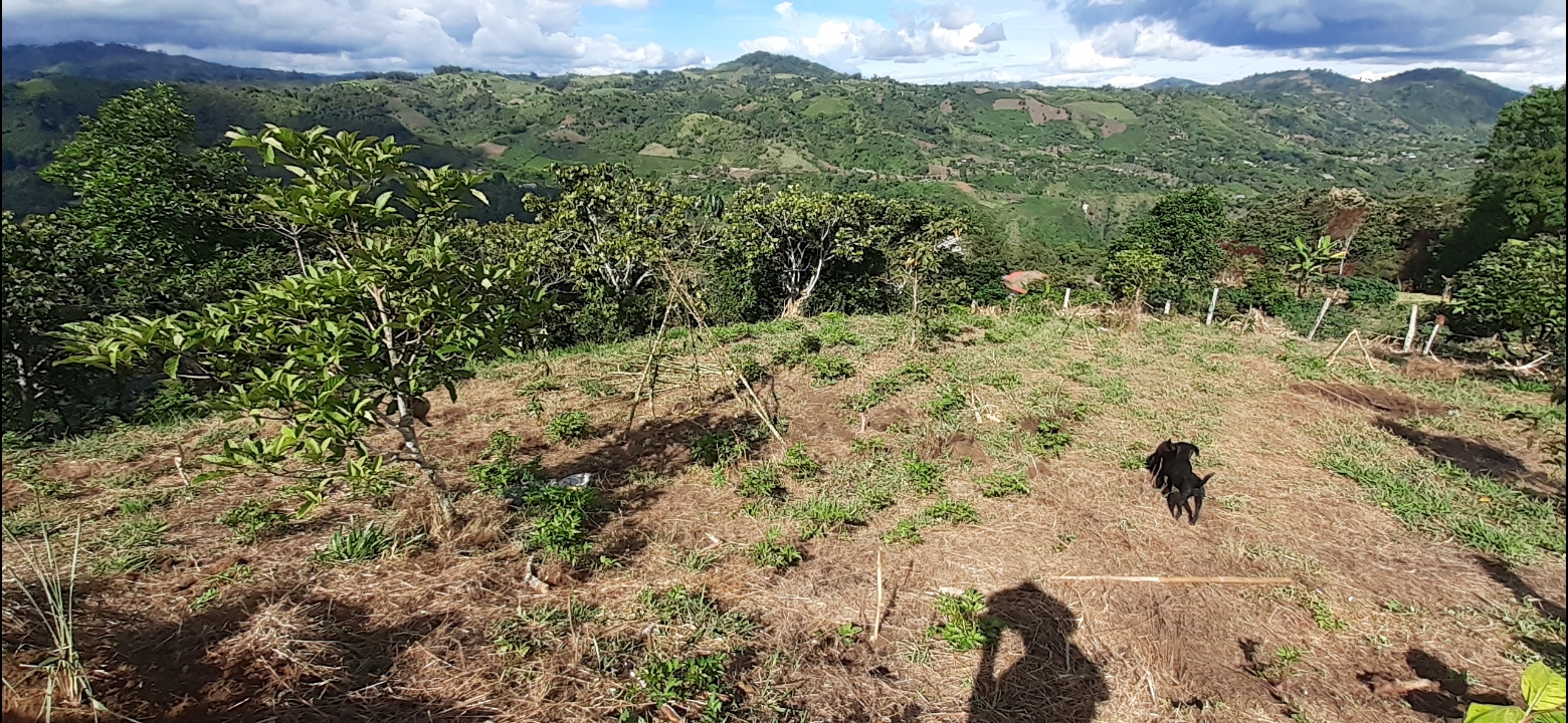 Finca Aurora en San Agustin, 1hec.