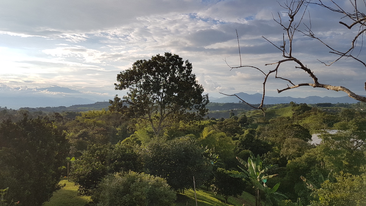 Nuestra tierrita en el Quindio