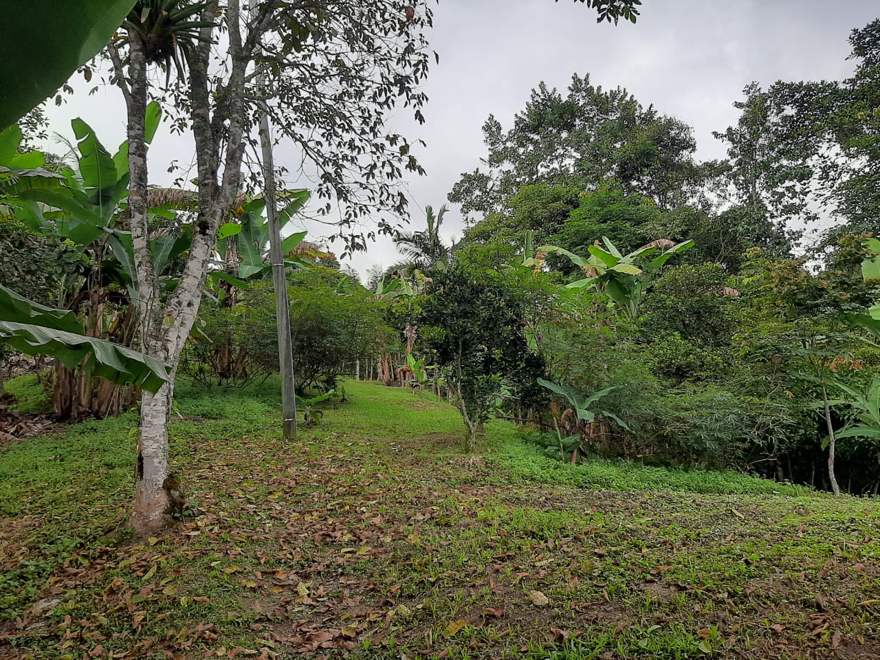 Ecovilla en La Vega