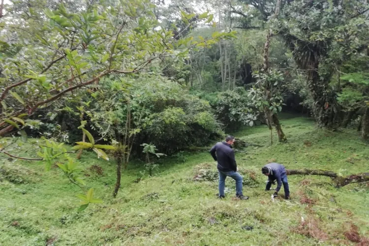 Estamos iniciando una ecoaldea en Sasaima