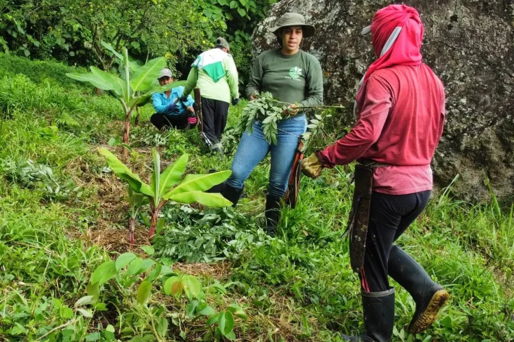 Soy Lluly y quisiera ser parte de una ecoaldea