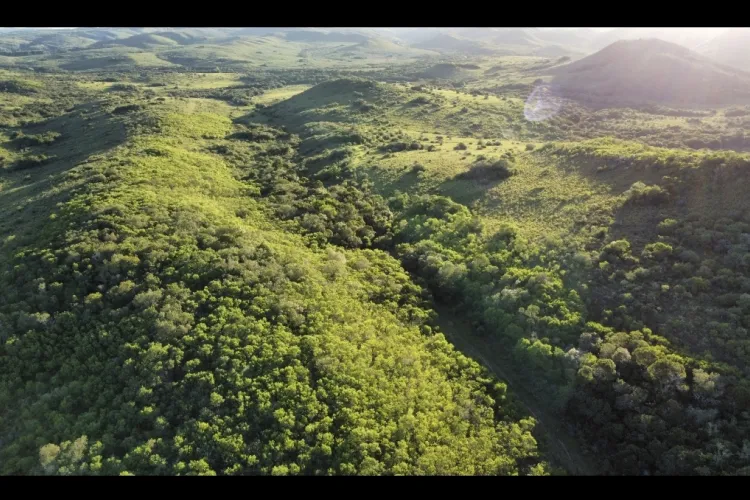 ¿Quieres vivir en una ecoaldea en Uruguay?