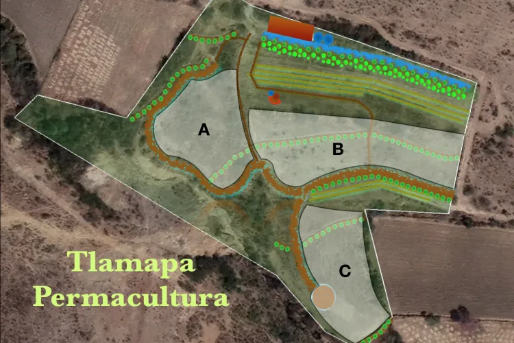 Territorio