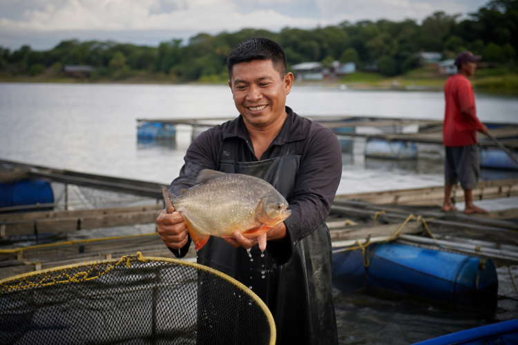 Asociación de Piscicultores en jaulas flotantes de peces de consumo y ornamentales de la comunidad indigena caranacoa - ASOYUMDA