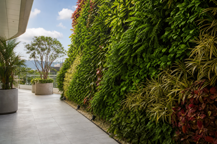 Ecodesign Colombia S.A.S