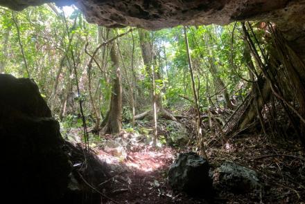 Terrenos en la Riviera Maya