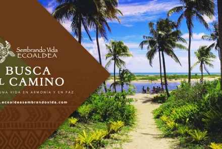 Ecoaldea Sembrando Vida en el pacifico Mexicano