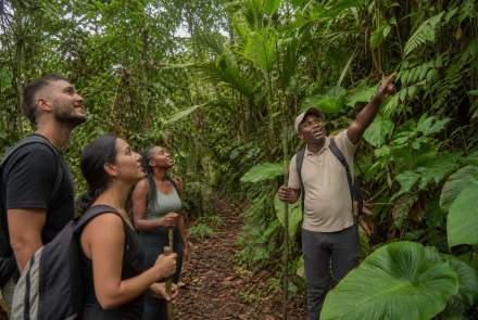 Asociación Ecológica de operadores turísticos aguas calientes los Anturios de Jurubirá