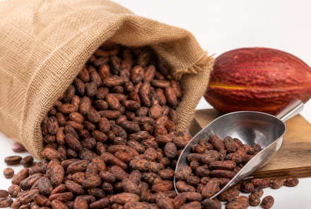 ASOCIACION  DE PRODUCTORES  DE CACAO - APROCASUR