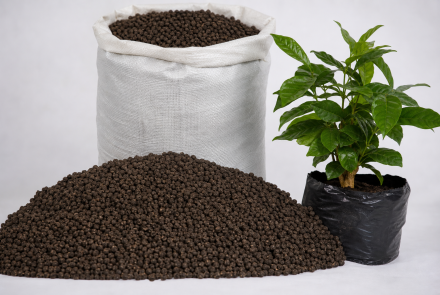 ASOCIACION DE PRODUCTORES Y COMERCIALIZADORES ORGANICOS -PROCOOR