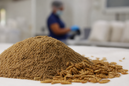 BIOFLY Colombia