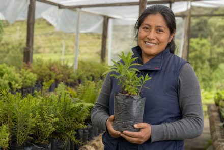 FUNDACION INDIGENA INTIMAKUNA
