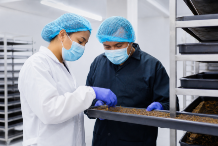 Insect Farming Technologies - Entopro Sas
