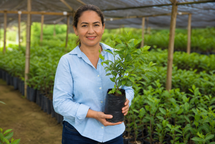 MARIA NUBIA RANGEL GUEVARA  - VIVERO EL GIRASOL